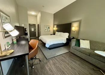 Holiday Inn Carlsbad by IHG hotel thumbnail 8