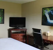 Ramada by Wyndham Campbell River hotel detail image 3