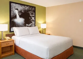 Super 8 by Wyndham Antigo hotel thumbnail 6