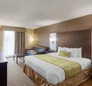 Best Western Plus Leamington Hotel & Conference Centre hotel detail image 7