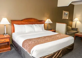 Comfort Suites Auburn near I-69 hotel thumbnail 6