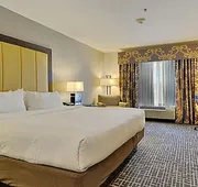 Holiday Inn Express & Suites Gonzales by IHG hotel detail image 4