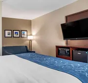 Comfort Suites Pell CIty near Logan Martin Lake hotel detail image 5