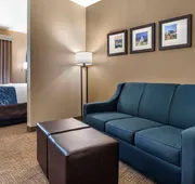 Comfort Suites Pell CIty near Logan Martin Lake hotel detail image 7
