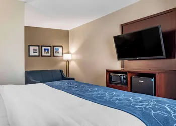 Comfort Suites Pell CIty near Logan Martin Lake hotel thumbnail 5
