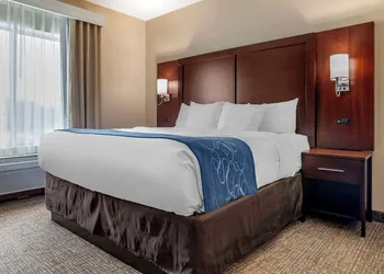 Comfort Suites Pell CIty near Logan Martin Lake hotel thumbnail 6