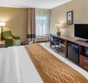Comfort Inn & Suites Lincoln I-20 hotel detail image 7