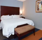 Hampton Inn Alexander City hotel detail image 7