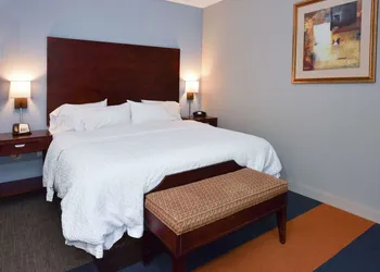 Hampton Inn Alexander City hotel thumbnail 7