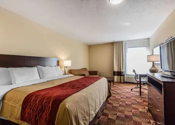 Comfort Inn & Suites Jasper Hwy 78 West hotel thumbnail 8