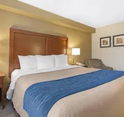 Comfort Inn Iron Mountain North hotel detail image 5