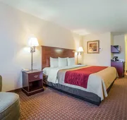 Comfort Inn & Suites Rock Springs - Green River hotel detail image 7