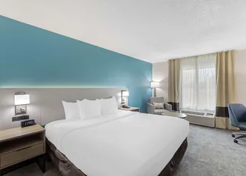 Comfort Inn US Hwy 80 hotel thumbnail 6