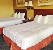 Americas Best Value Inn Monroeville hotel detail image 7