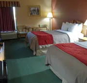 Econo Lodge Newport Smoky Mountains Gateway hotel detail image 7