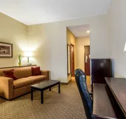 Comfort Suites Forrest City hotel detail image 7