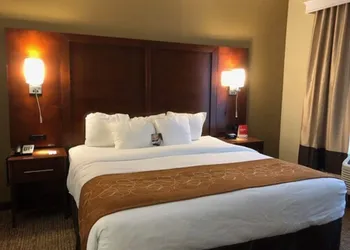 Comfort Suites Forrest City hotel thumbnail 8