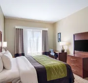 Comfort Inn Blackshear Hwy 84 hotel detail image 3