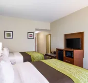 Comfort Inn Blackshear Hwy 84 hotel detail image 5