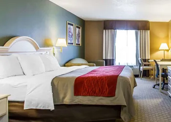 Quality Inn Columbia I-65 hotel thumbnail 6
