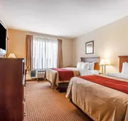 Comfort Inn & Suites Atoka-Millington hotel detail image 4