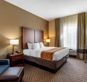 Comfort Inn & Suites Atoka-Millington hotel detail image 5
