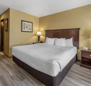 Quality Inn Greenville North hotel detail image 7
