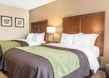 Comfort Inn & Suites Piqua-Near Troy-I75 hotel thumbnail 6