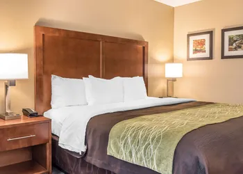 Comfort Inn & Suites Piqua-Near Troy-I75 hotel thumbnail 7