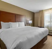 Comfort Inn & Suites McComb hotel detail image 7