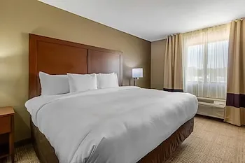 Comfort Inn & Suites McComb hotel thumbnail 7