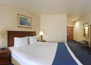 Holiday Inn Express Hotel & Suites Mountain Home by IHG hotel thumbnail 6