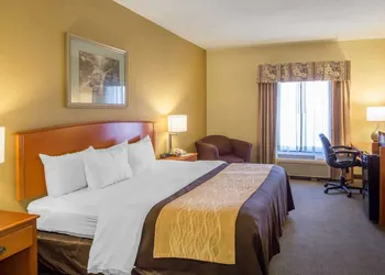 Quality Inn & Suites MidAmerica Industrial Park Area hotel thumbnail 2