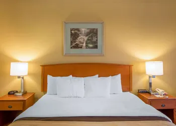 Quality Inn & Suites MidAmerica Industrial Park Area hotel thumbnail 4
