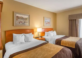 Quality Inn & Suites MidAmerica Industrial Park Area hotel thumbnail 6