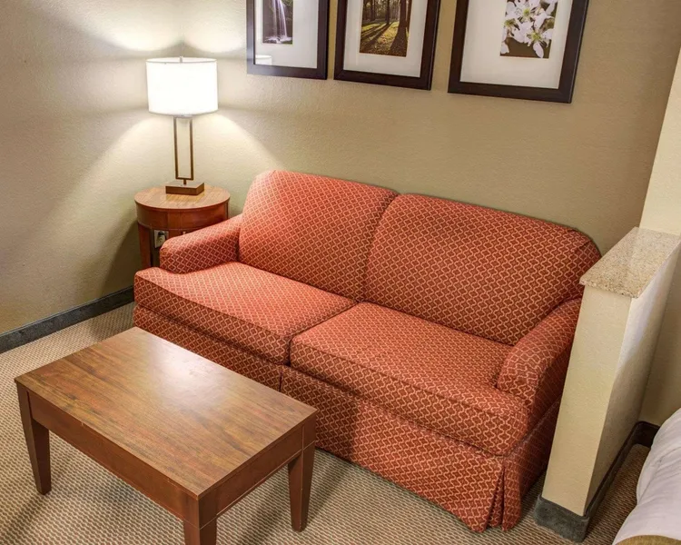 Comfort Suites Gadsden Attalla hotel detail image 6