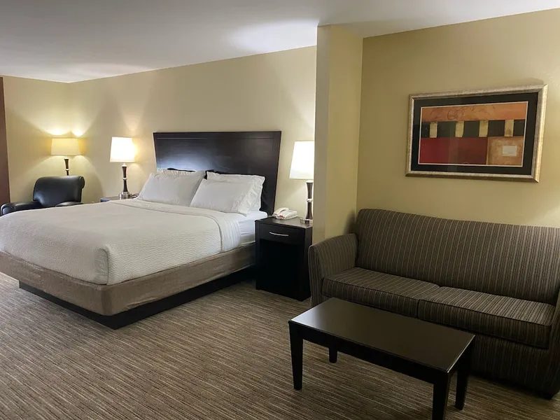 Holiday Inn Express &Suites Snyder by IHG hotel detail image 6
