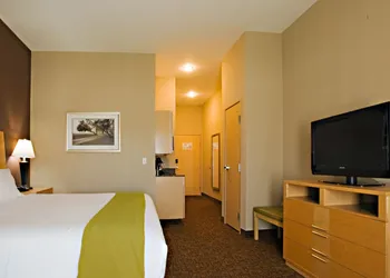 Holiday Inn Express & Suites Borger by IHG hotel thumbnail 7