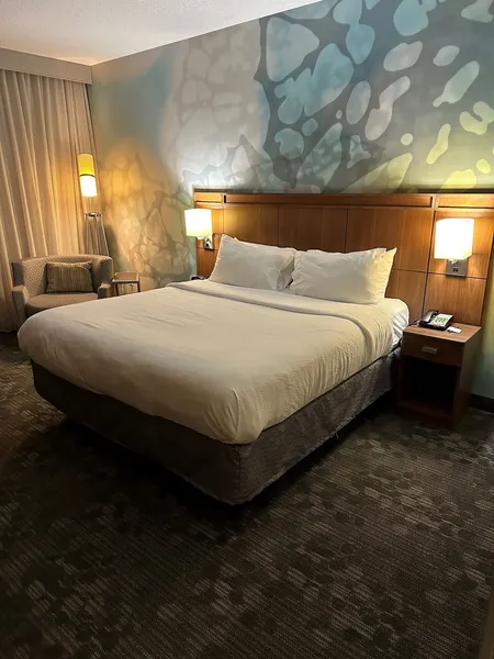 Courtyard by Marriott Asheville Airport hotel detail image 6