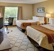 Comfort Inn hotel detail image 3