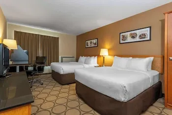 Comfort Inn hotel detail image 6