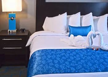 Holiday Inn & Suites Syracuse Airport - Liverpool by IHG hotel thumbnail 8