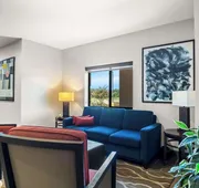 Comfort Suites Lindale - Tyler North hotel detail image 3