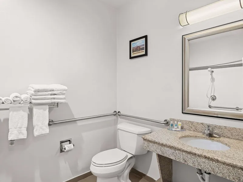 Comfort Suites Lindale - Tyler North hotel detail image 6