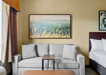 Ramada by Wyndham Drumheller Hotel & Suites hotel thumbnail 8