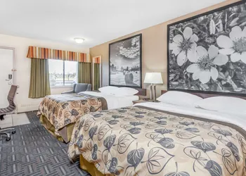 Super 8 by Wyndham Stettler hotel thumbnail 5