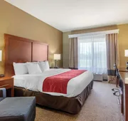 Comfort Inn & Suites Pittsburg KS hotel detail image 7