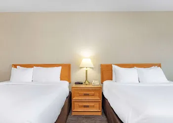 Travelodge by Wyndham Bridgewater hotel thumbnail 8