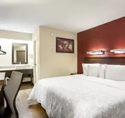 Red Roof Inn PLUS+ Baltimore-Washington DC/ BWI South hotel detail image 7