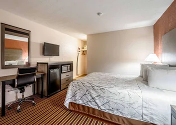 Americas Best Value Inn Heflin hotel thumbnail 5